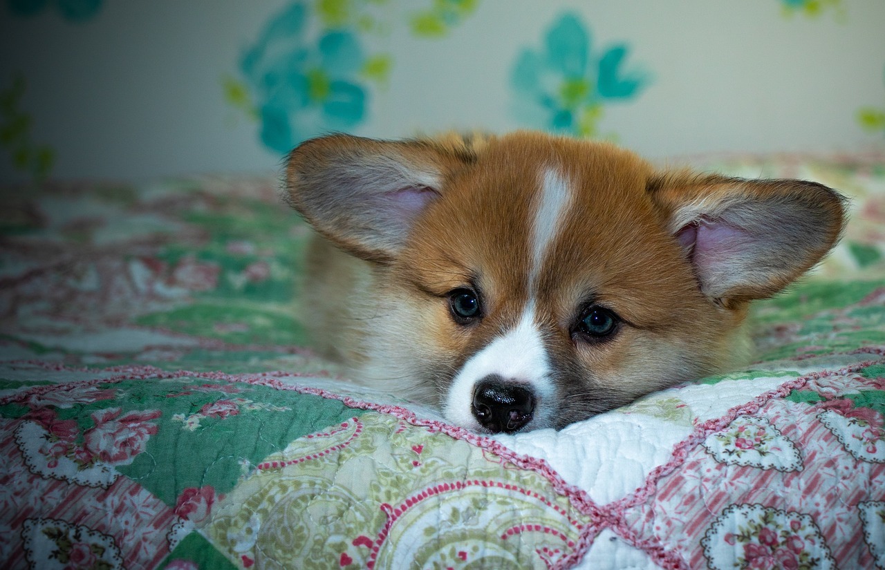 How 99exch is Transforming India’s Online Trading Landscape