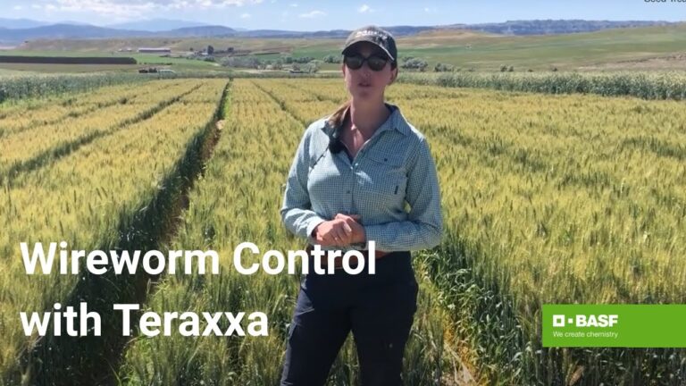 Understanding the Reddy Anna ID: Features, Benefits, and Its Role in the Reddy Book Club Community